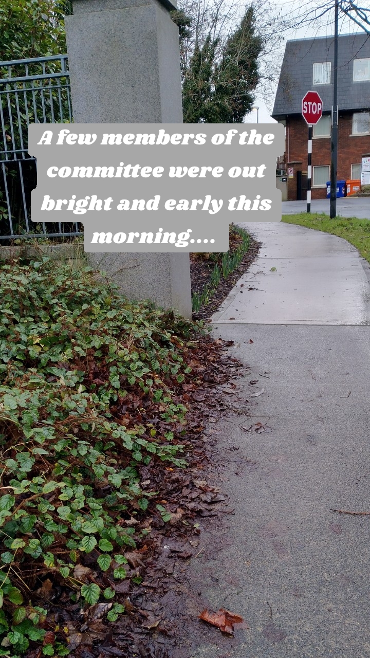 A few members of the committee were out bright and early this morning.... 
